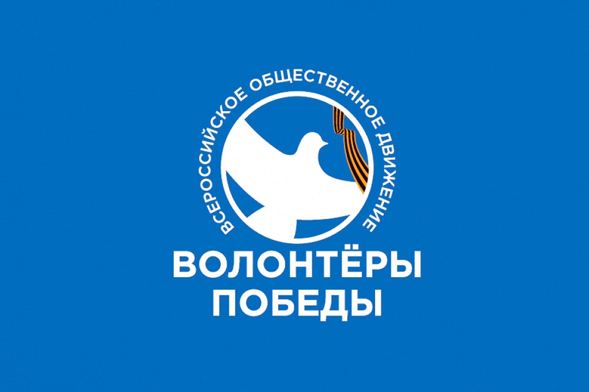 Волонтеры победы